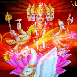 Gaytri Yagyas