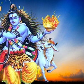 Rudrabhishek Yagyas